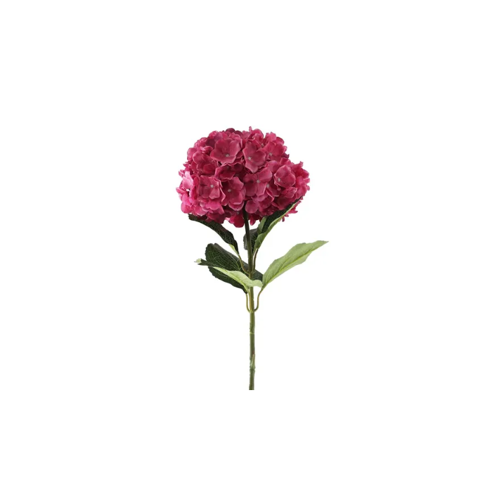 Essential Giant Hydrangea KD - Dark Pink
