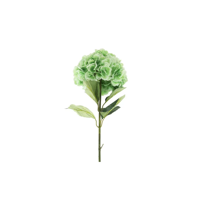 Essential Giant Hydrangea KD - Light Green