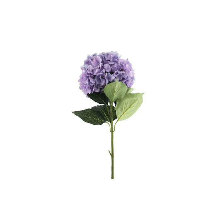 Essential Giant Hydrangea KD - Lilac