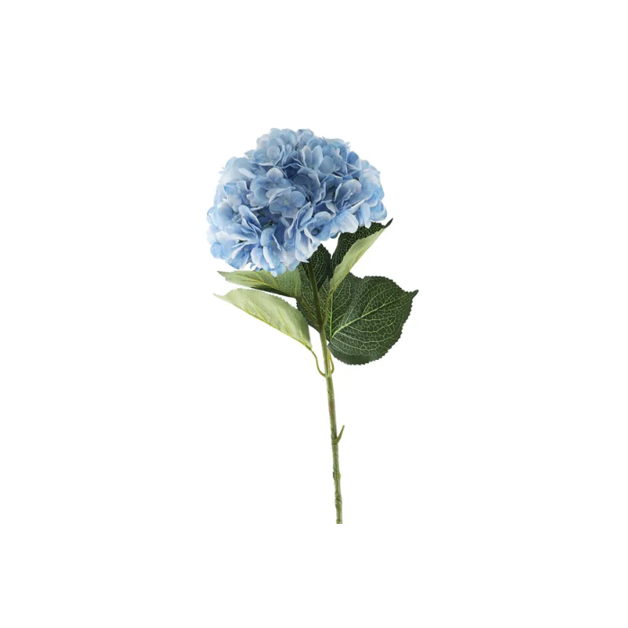 Essential Giant Hydrangea KD - Light Blue