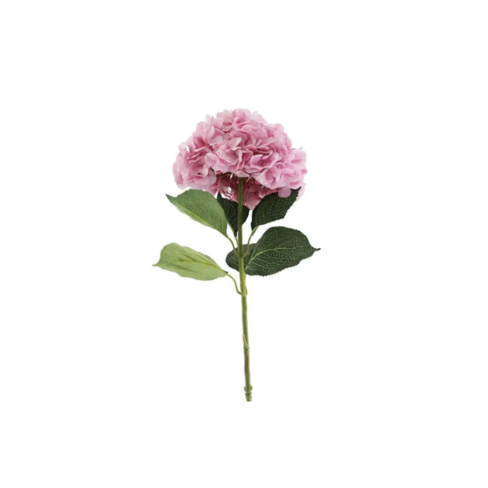Essential Giant Hydrangea KD - Light Pink