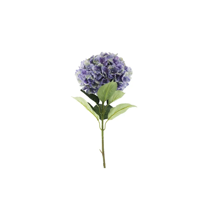 Essential Giant Hydrangea KD - Purple/Green