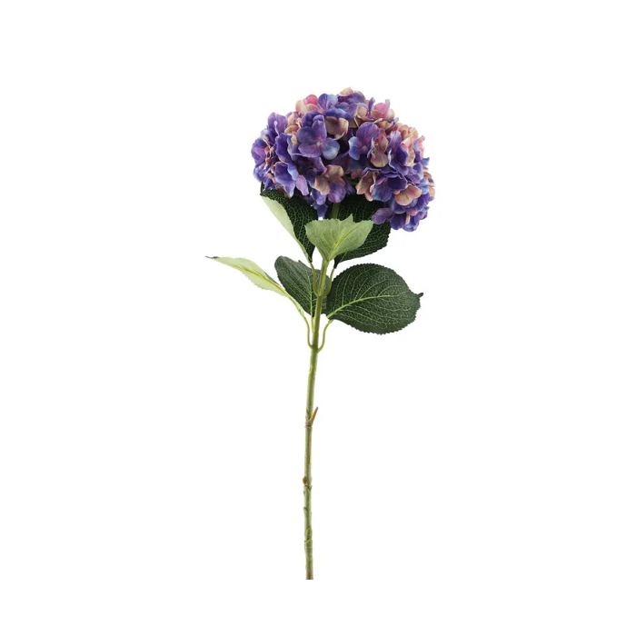 Essential Giant Hydrangea KD - Pink/Purple