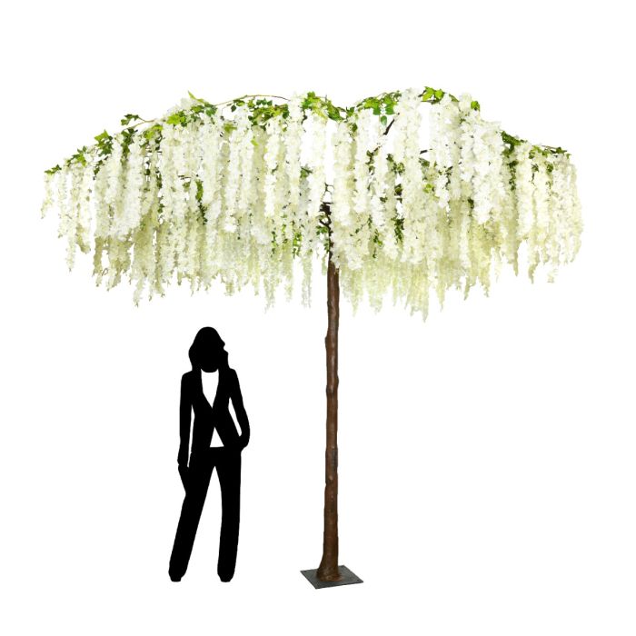 290cm Umbrella Wisteria Tree