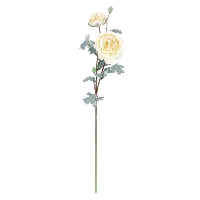 72cm Ivory Peony Stem