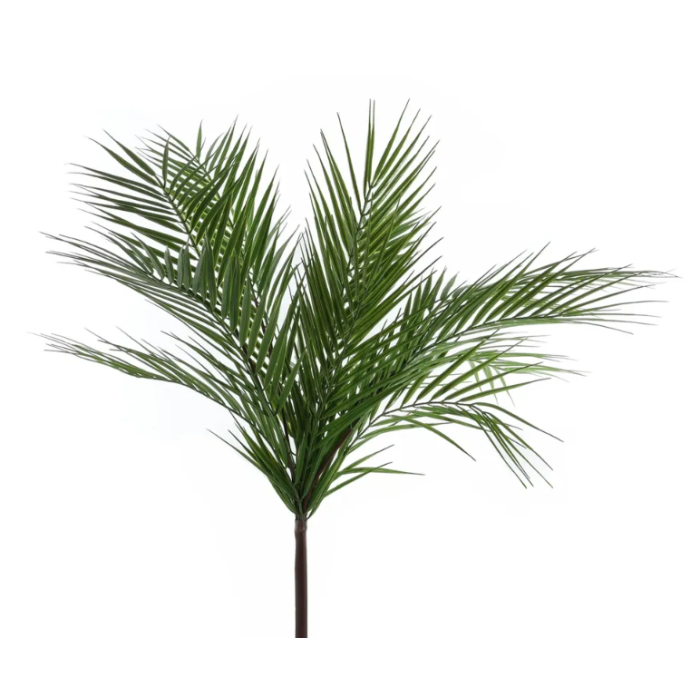 Essential Large Palm Plant 61cm