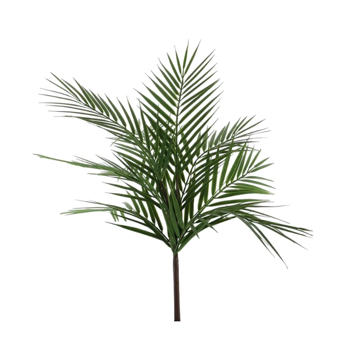 Essential Palm Plant Small 61cm