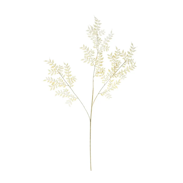 Essential Dry Look Bleached Ruscus 102cm
