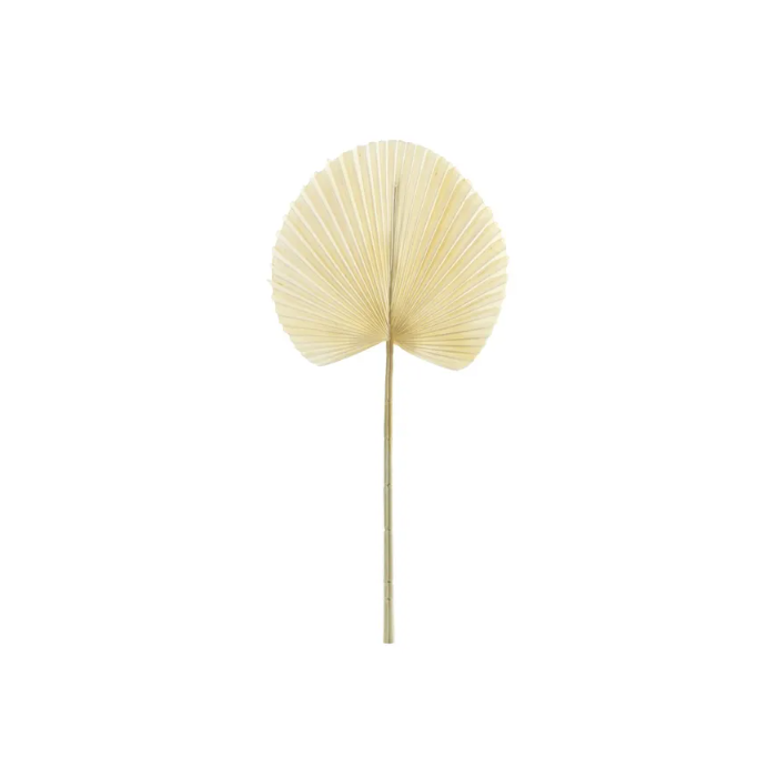 Essential Dry Look Bleached Fan Palm 54cm