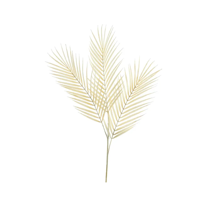 Essential Dry Look Bleached Fern Leaf 70cm