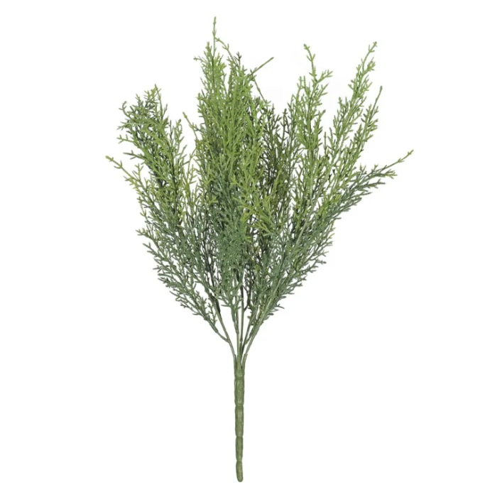 Dwarf Conifer 45cm