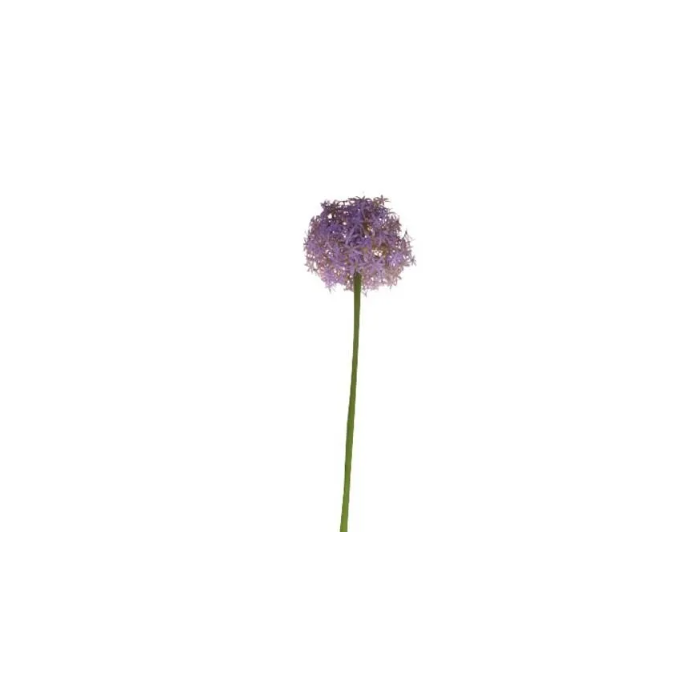 76cm Single Allium Lavender