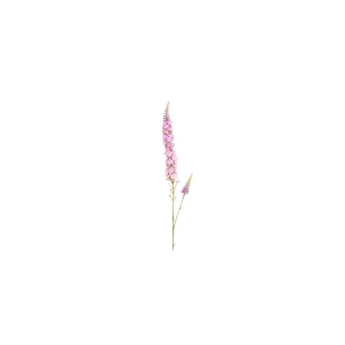 Veronica Spray Pink
