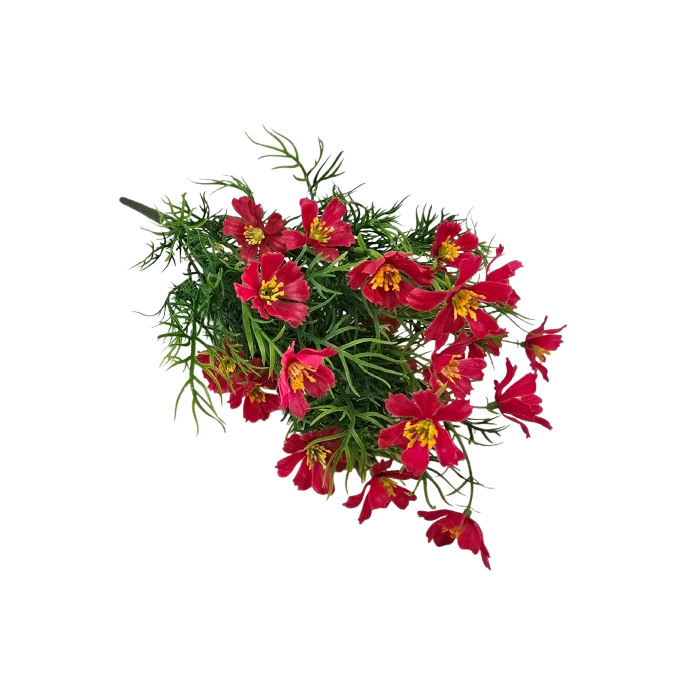 Exterior Cosmos Bush U.V - Red - 42cm