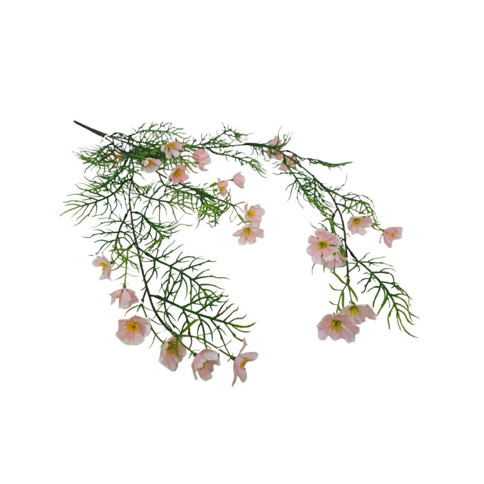 Exterior Cosmos Bush U.V - Pink - 72cm