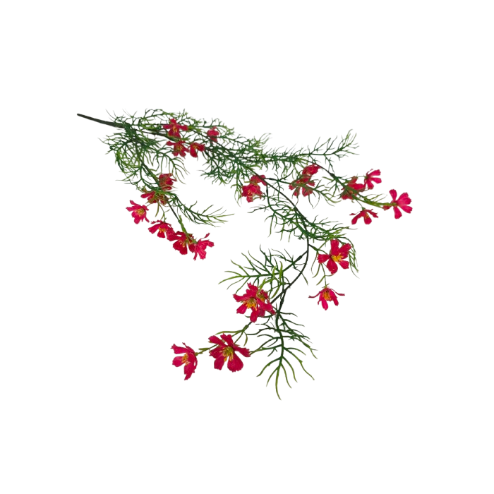 Exterior Cosmos Bush U.V - Red - 72cm