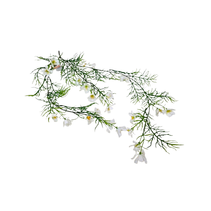 Exterior Cosmos Bush U.V - White - 72cm