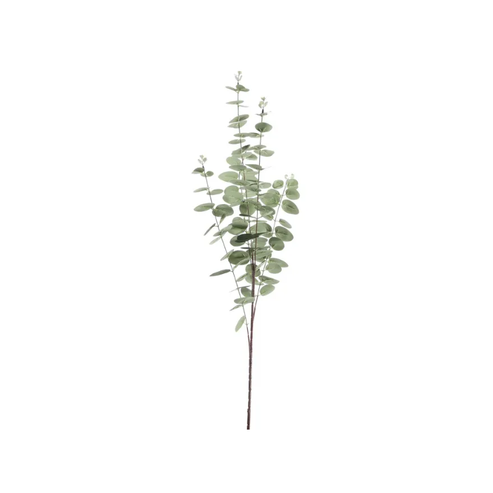 Eucalyptus Stem - Grey 100cm