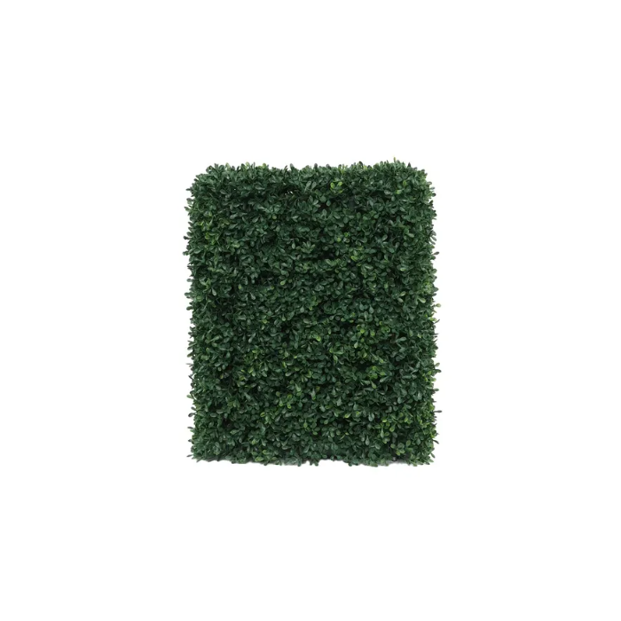 Botanica Hedge U.V - 37cm x 48cm