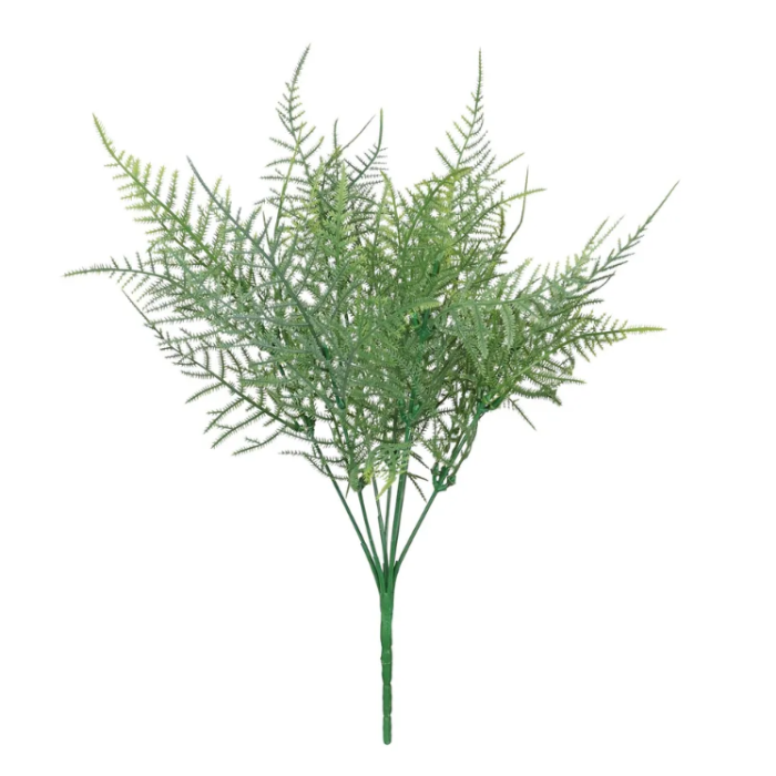 Essential Asparagus Fern Green 35cm