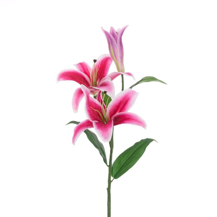 ECO Casablanca Lily Spray 88cm Rubrum