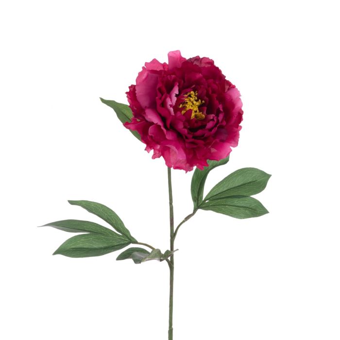 ECO Peony Stem 80cm Beauty