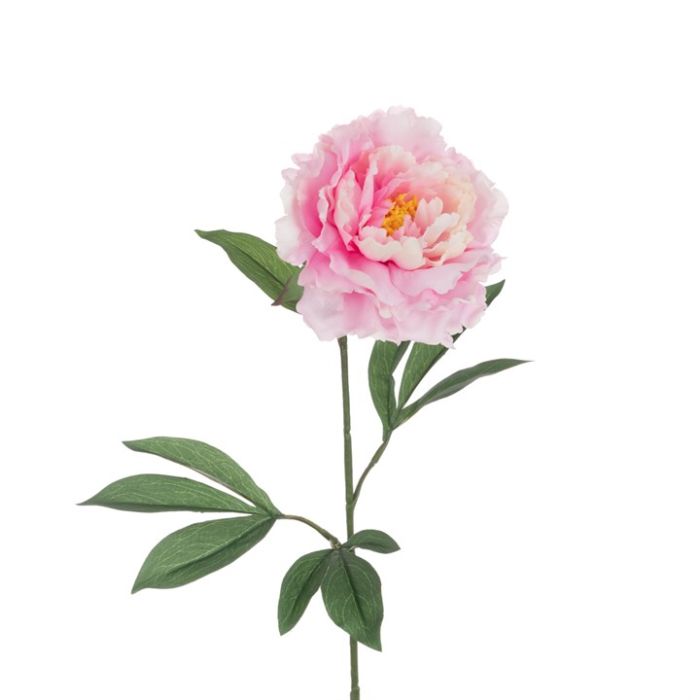 ECO Peony Stem 80cm Light Pink
