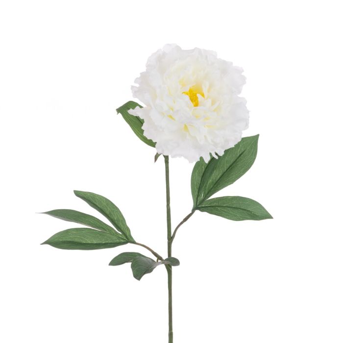 ECO Peony Stem 80cm White