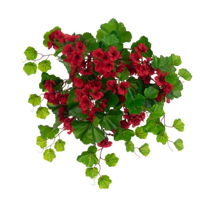 ECO Geranium Bush Red 60cm UV Protected