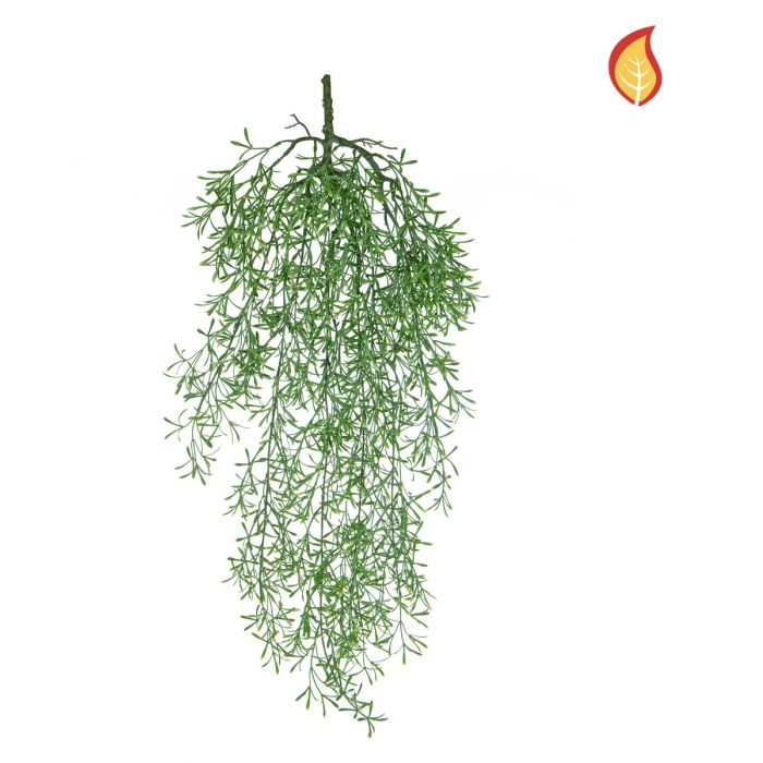 Trailing Fern 75cm FR