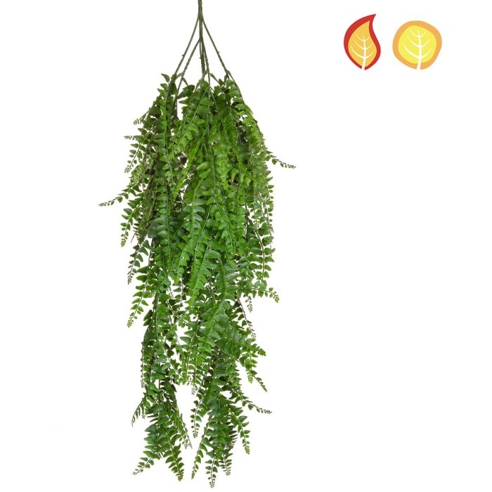 Fern Trail 80cm FR & UV