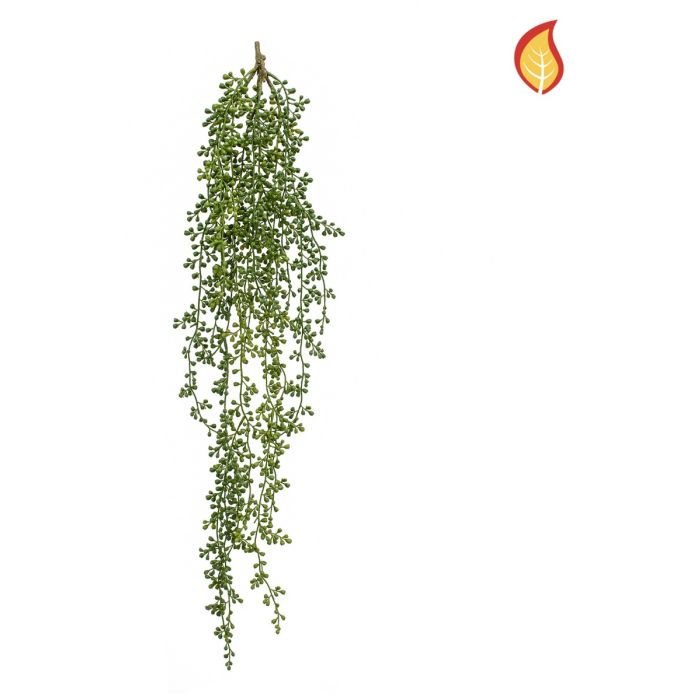 Trailing Senecio 97cm FR