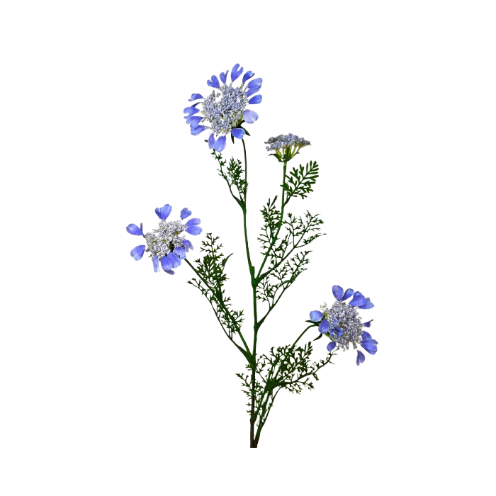 Artificial Queen Annes Lace 96cm Blue