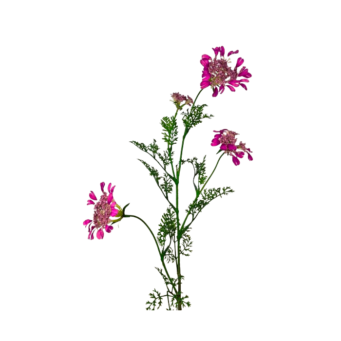 Artificial Queen Annes Lace 96cm Cerise