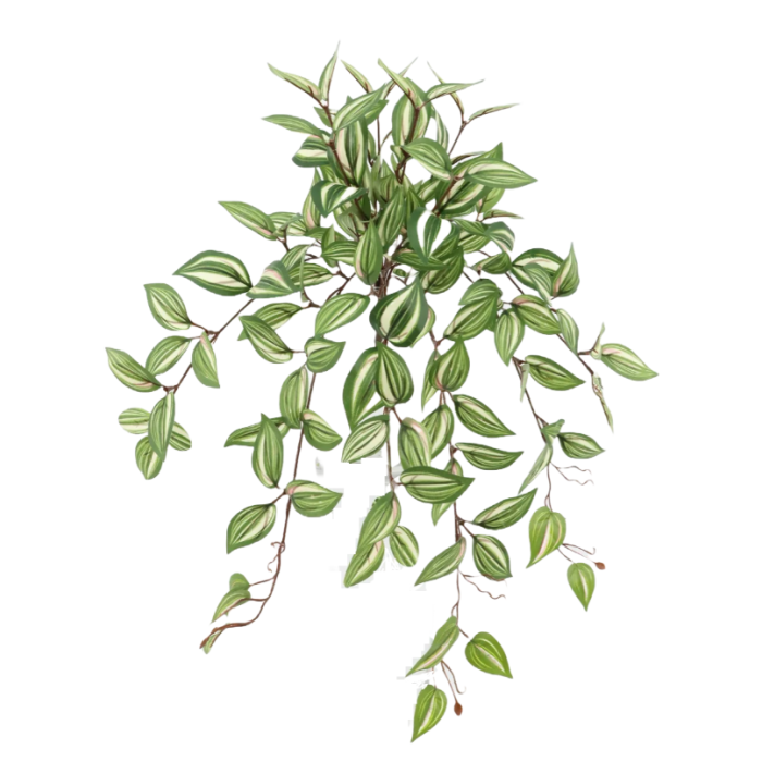 Artificial Tradescantia Hanging Bush Green/Red 57cm