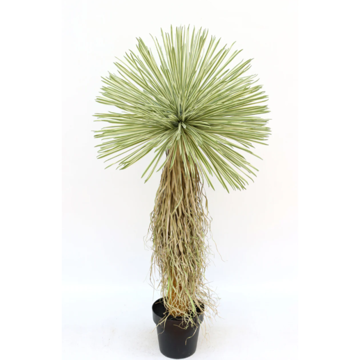 UV Protected Real Touch Dracaena Ball Tree 150cm