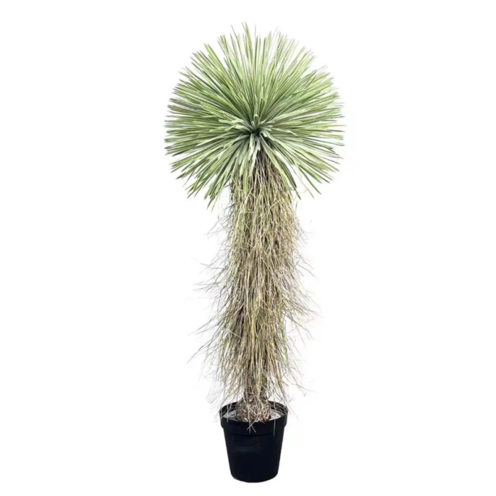 UV Protected Real Touch Dracaena Ball Tree 175cm