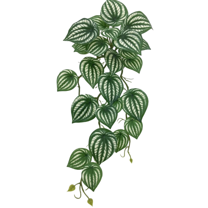 Artificial Hanging Variegated Peperomia Green/White 45cm