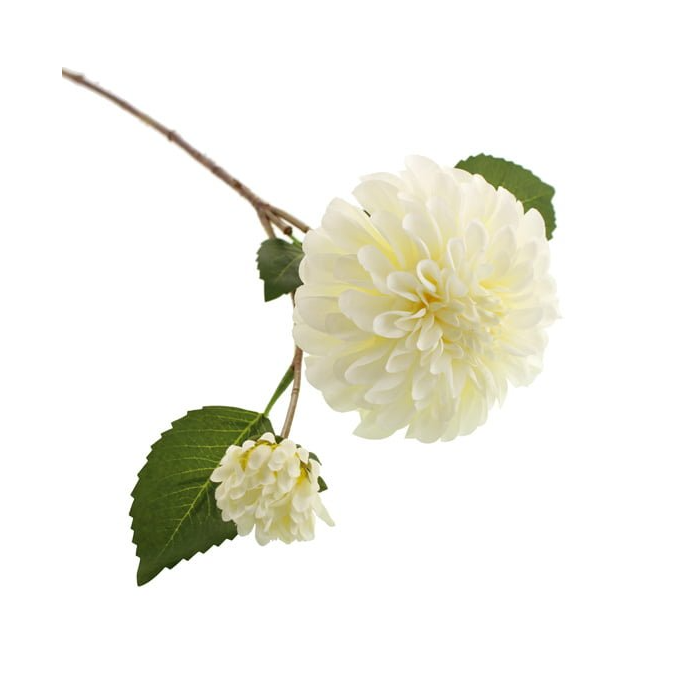 64cm Ball Dahlia With Bud Cream