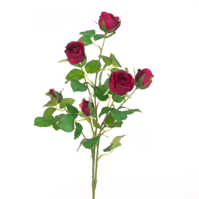 Juliet Rose Spray 70cm Burgundy