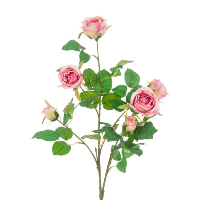 Juliet Rose Spray 70cm Pink