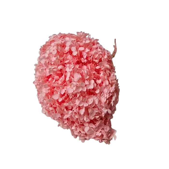 Preserved Hydrangea 25 - 30cm Light Pink