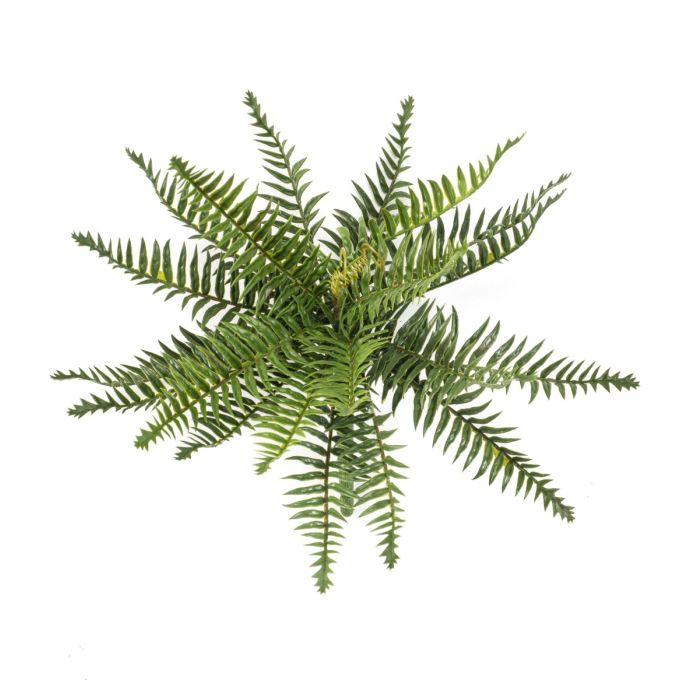 Forest Fern Bush 35cm UV Protected