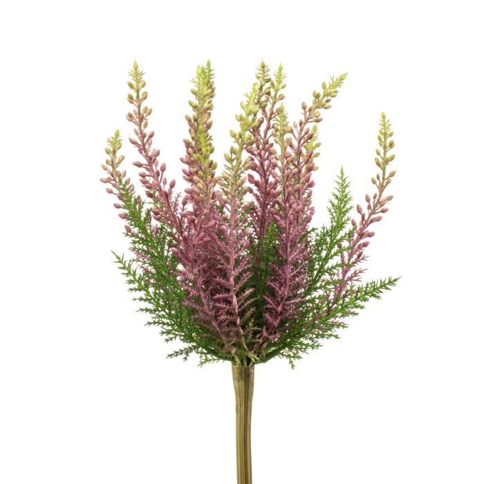 Erica Bush Purple 29cm UV Protected