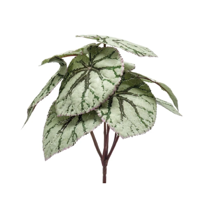Begonia Leaves Bush Grey 25cm UV Protected