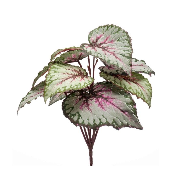 Begonia Leaves Bush Grey/Pink 25cm UV Protected