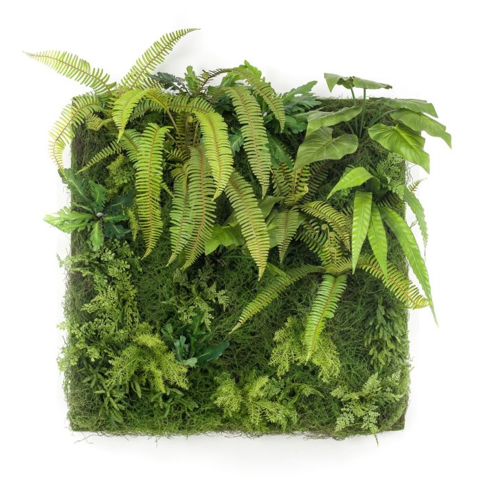 Living Wall 100 x 100cm