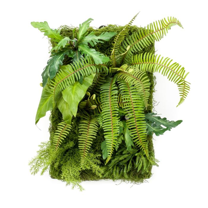 Living Wall 60 x 40cm