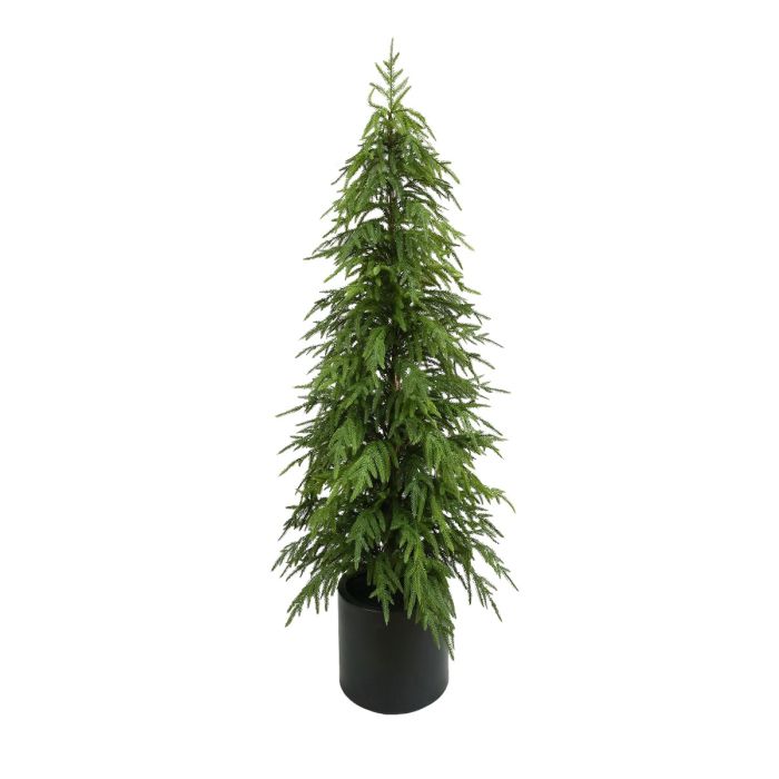 150cm Balsam Fir Tree in Planter