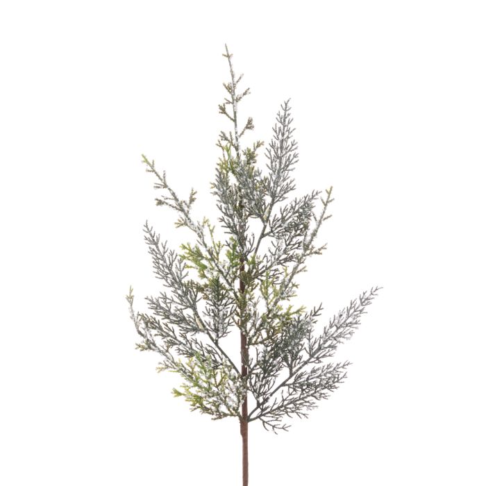 Barrowden Spray 71cm